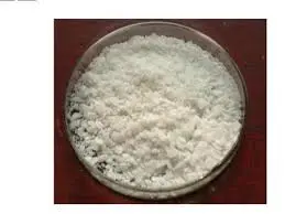  Sodium Succinate